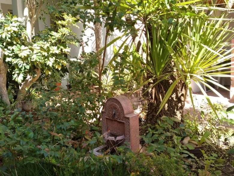 Hosteria Uruguay Piriápolis エクステリア 写真