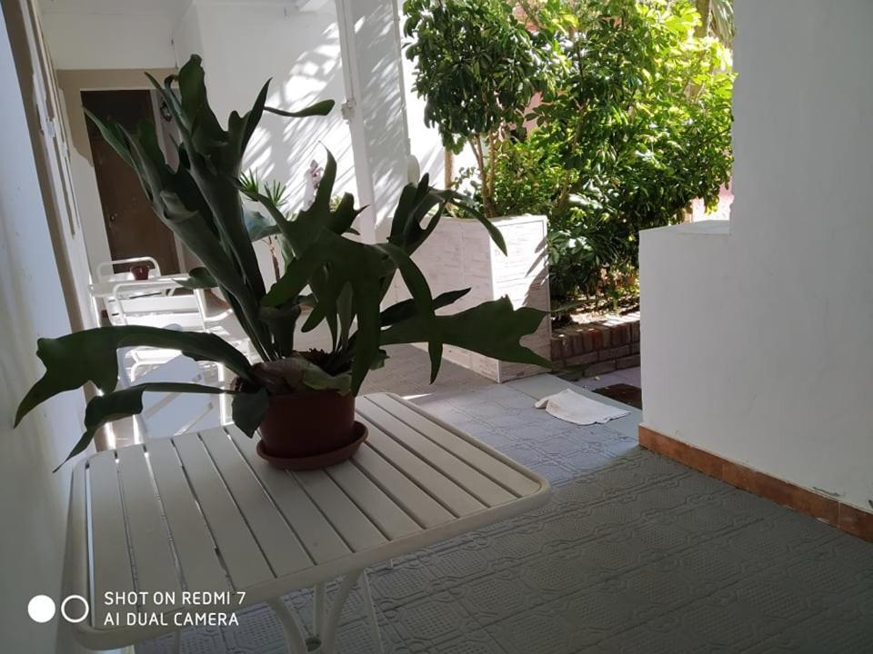 Hosteria Uruguay Piriápolis エクステリア 写真