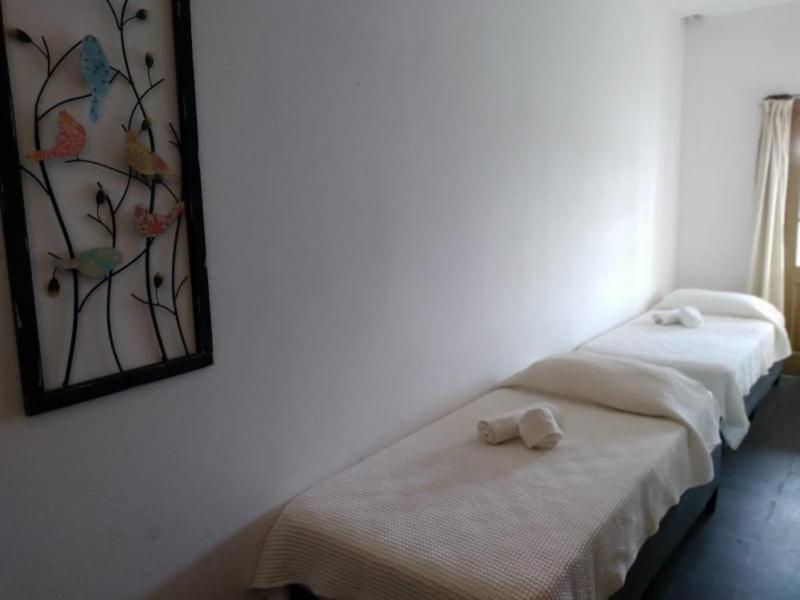 Hosteria Uruguay Piriápolis エクステリア 写真