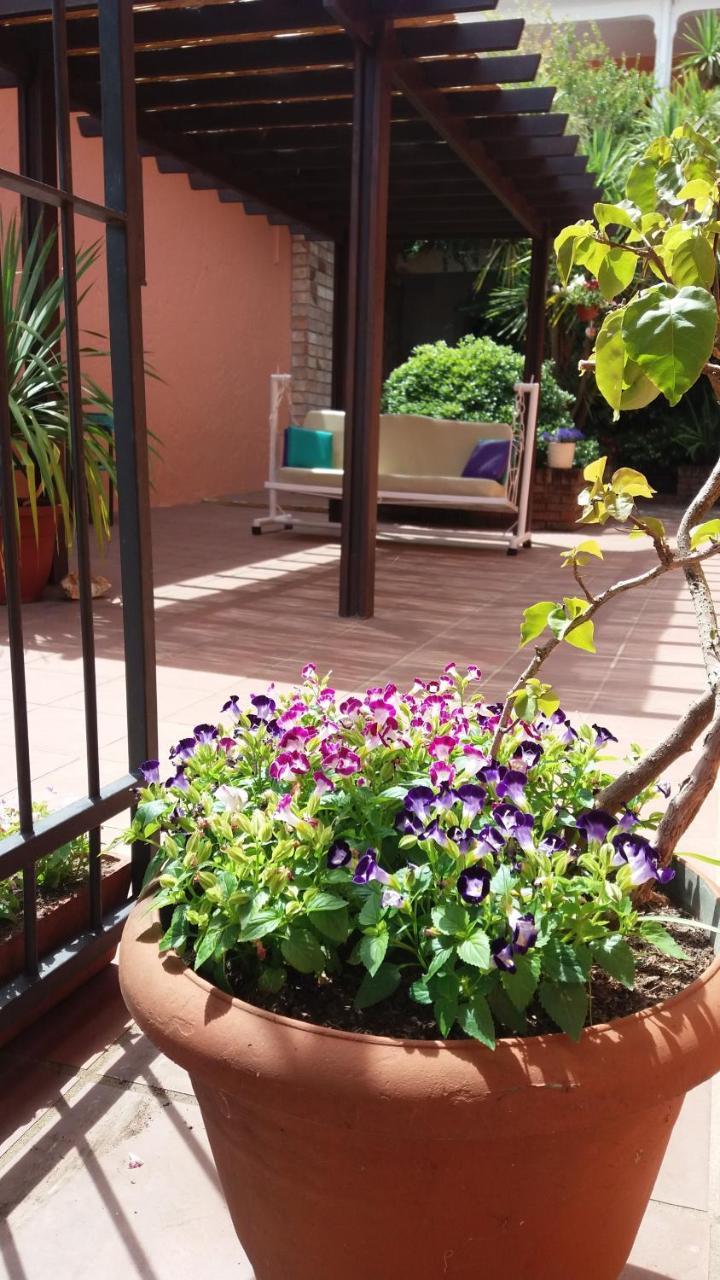 Hosteria Uruguay Piriápolis エクステリア 写真